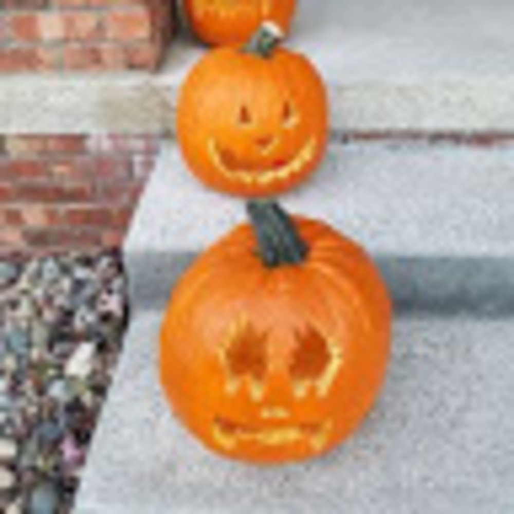 Meet your Posher, Mdredd